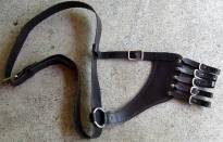 Rapier Belt with strap