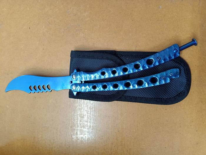 Blue Butterfly Trainer