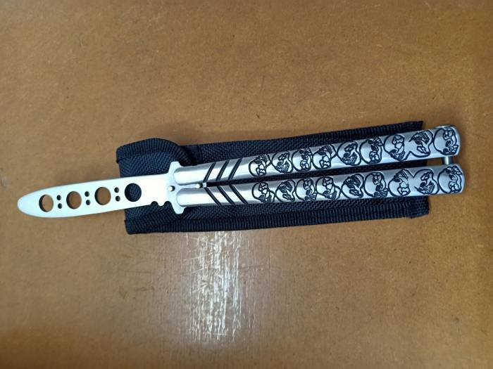 Silver Skull Butterfly