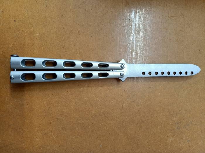 Silver Plain Butterfly