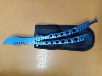 Blue Butterfly Trainer