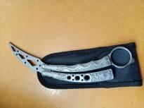 Grey Dragon Butterfly